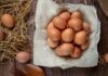 Как быстро проверить яйца на свежесть