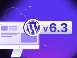 WordPress 6.3: краткий обзор